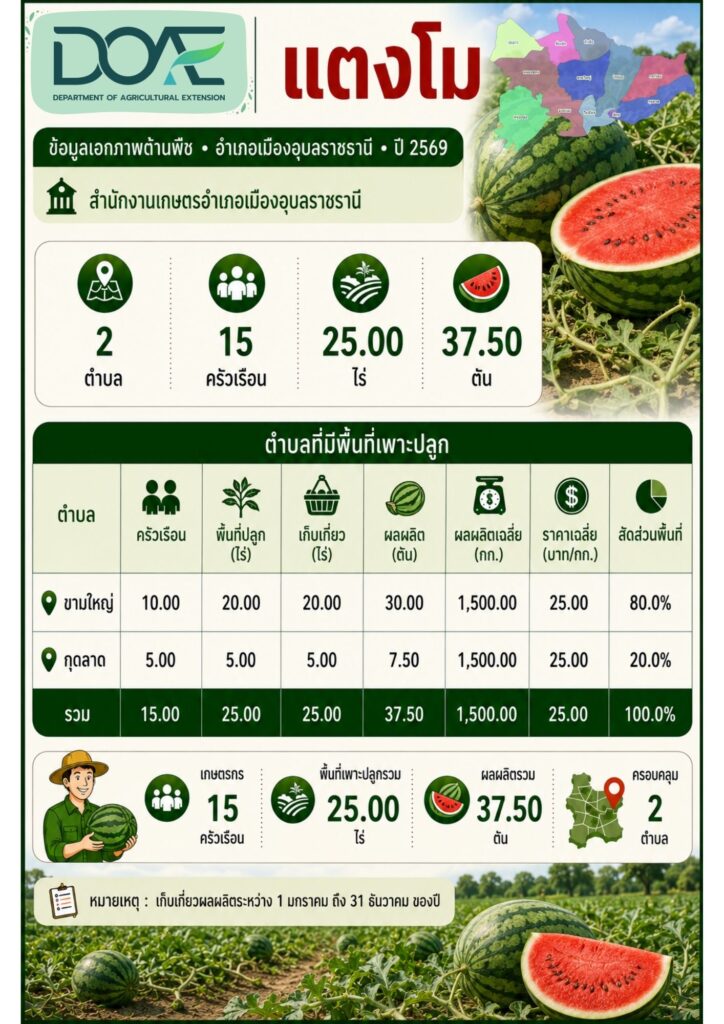 3 แตงโม