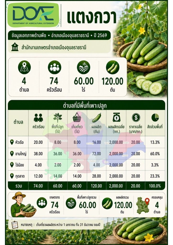 5 แตงกวา