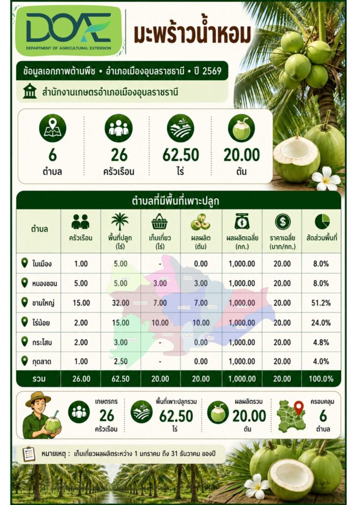 7 มะพร้าวน้ำหอม