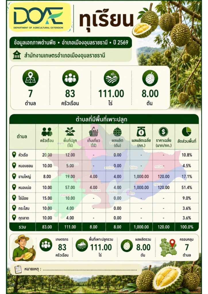 9 ทุเรียน